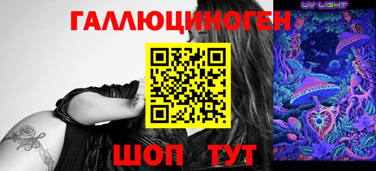 закладка  Вход с VPN  Ногинск  Галлюциногенные грибы GOLDEN TEACHER  Галлюциногенные грибы Magic Shrooms 